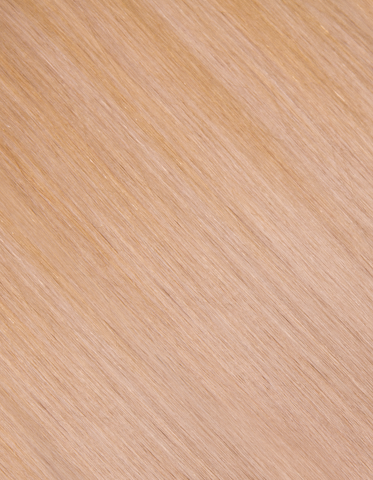 Sandy Blonde/Platinum Ash Blonde Hair Extensions